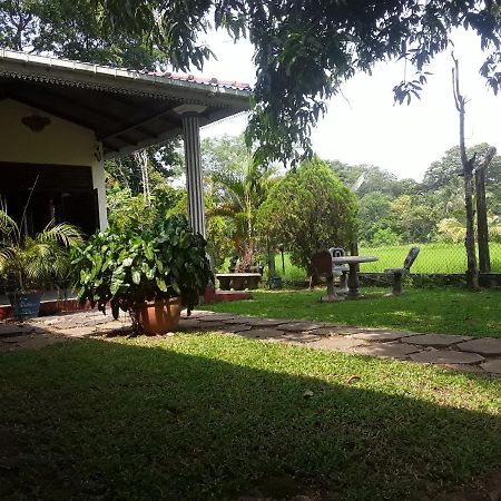 Hansika Guest Inn Buttala Exterior foto