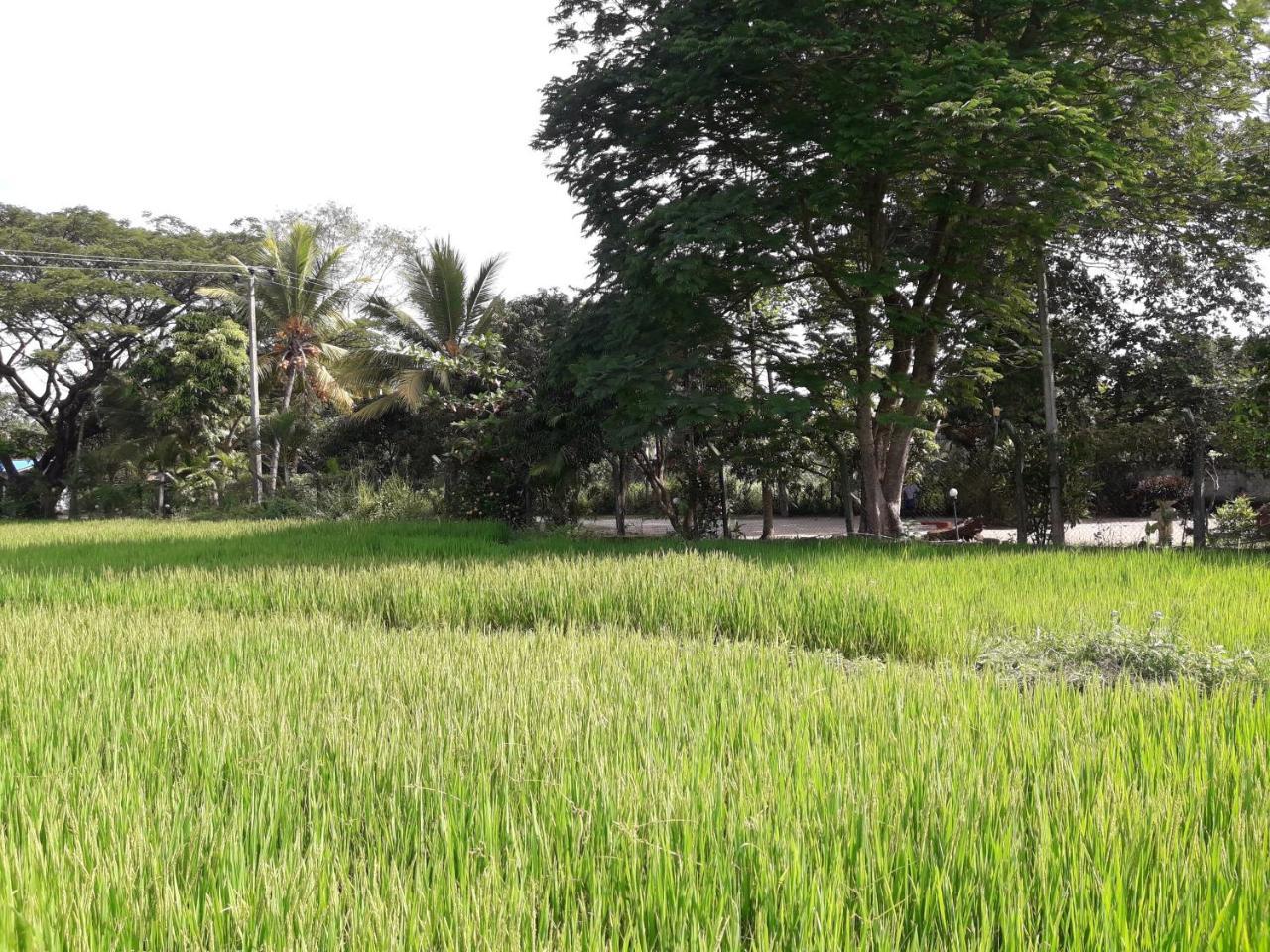 Hansika Guest Inn Buttala Exterior foto