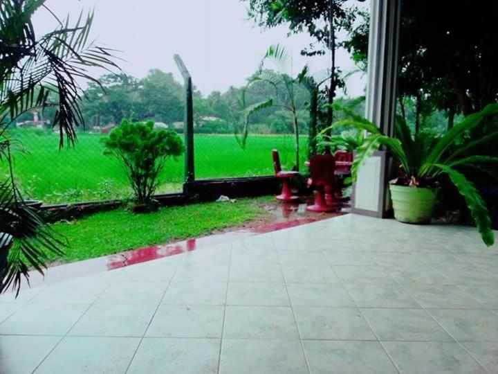 Hansika Guest Inn Buttala Exterior foto
